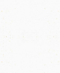 sp_bg_img001